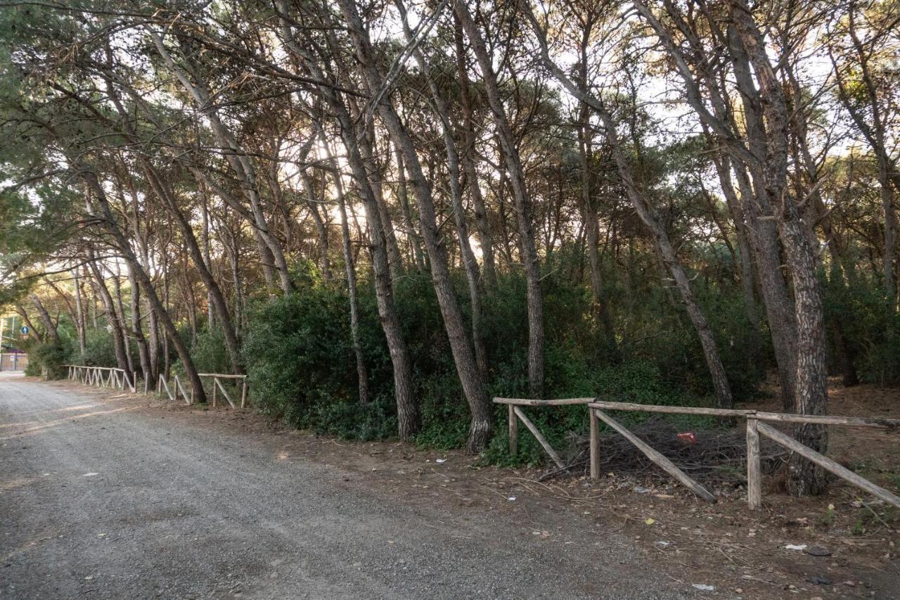 Casa Vacanza Sant'Erasmo Ginosa Marina Marina di Ginosa Zewnętrze zdjęcie